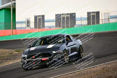 media/Feb-25-2024-Speed Ventures (Sun) [[b9a2a97a4d]]/Mustang Drivers Club/Session 1 (Turns 4 and 5)/